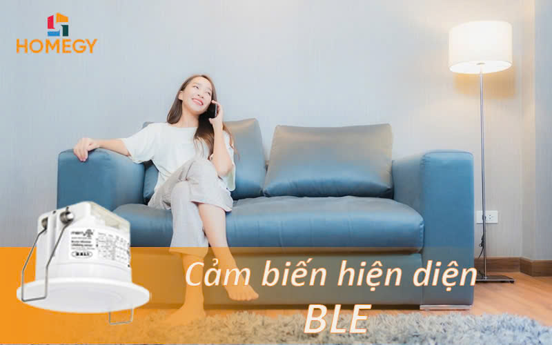 Cảm Biến Hiện Diện BLE (02)